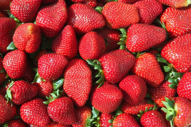 Red strawberries