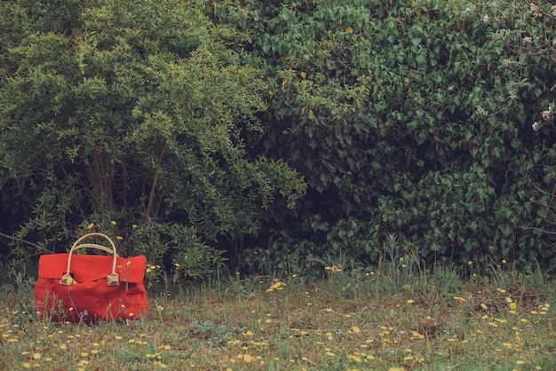 Red suitcase on natural ivy background