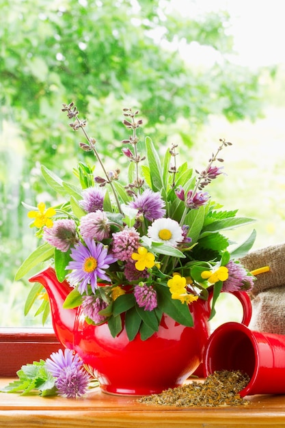 Red teapot with bouquet of healing herbs and flowers on windowsill