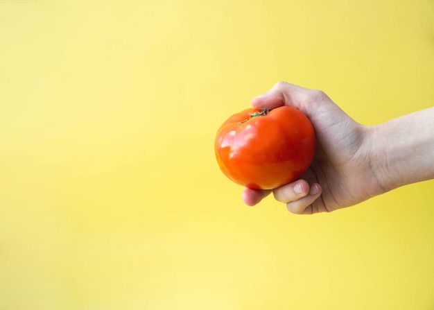 Red tomato in hand on yellow background