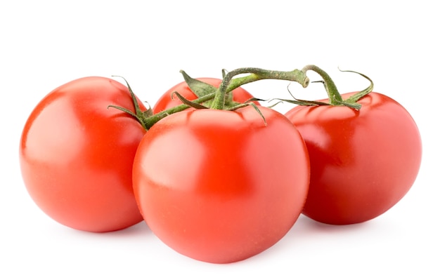 Red tomatoes on a branch