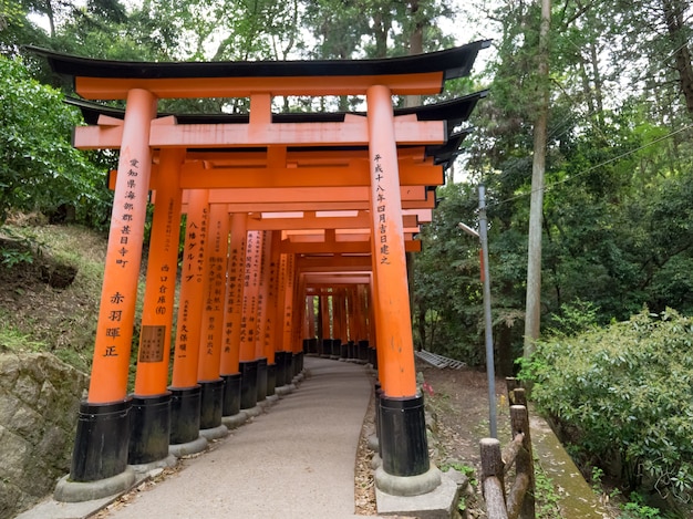 Red tori gates in Fushimi-Inari Taisha,Kyoto,Japan.