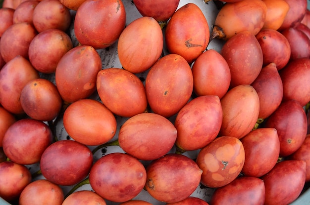 Red tree tomato