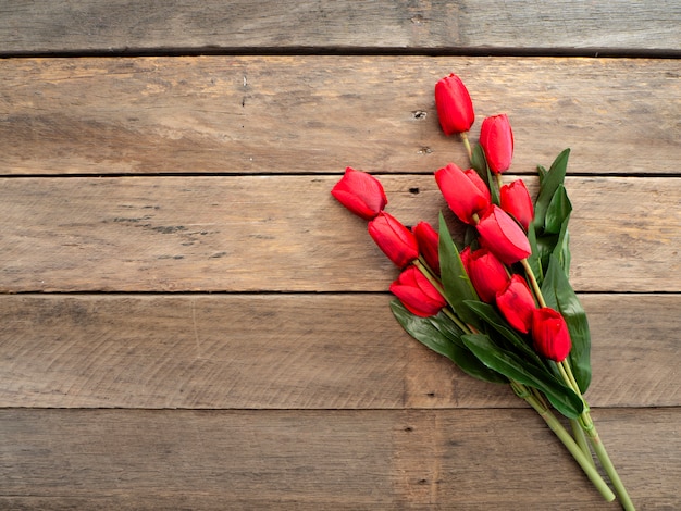 Red Tulips Easter day or Spring