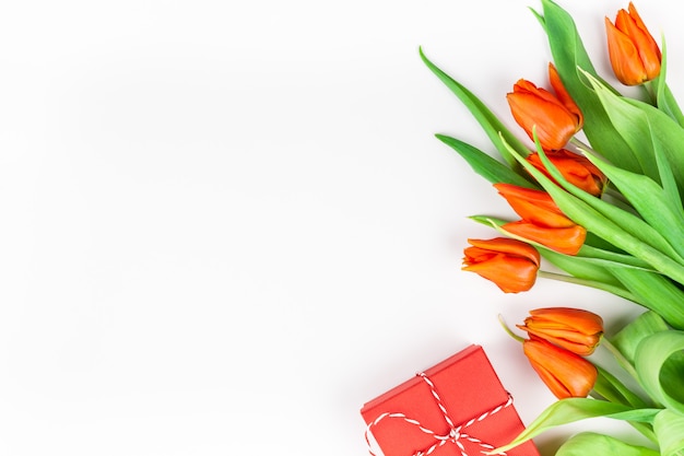 Red tulips flowers on white background