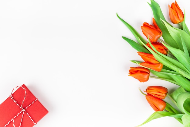 Red tulips flowers on white background