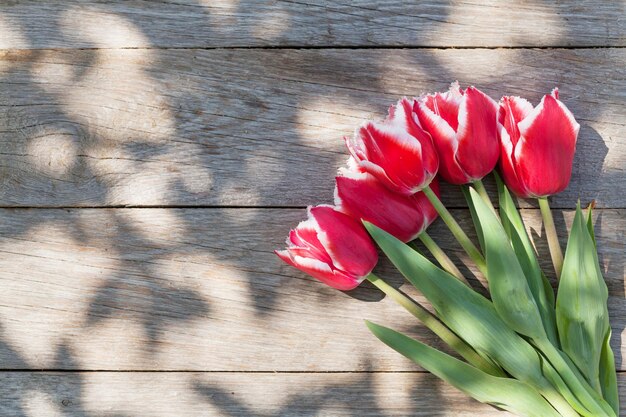 Red tulips on garden table