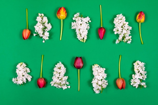 Red tulips and white lilac on a green background View from above Blank for postcards Mothers Day Women's Day