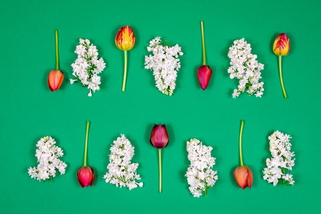 Red tulips white lilacs on a green background View from above Blank for a postcard Mother's day Valentine's Day birthday celebration concept Spring