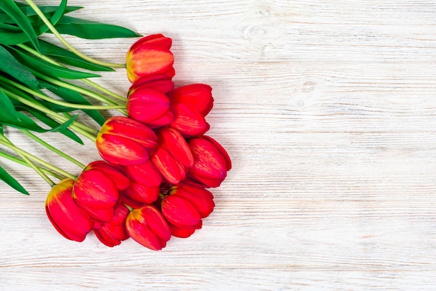 Red tulips on a white wooden background Mothers Day March 8 Place for an inscription The basis for the postcard