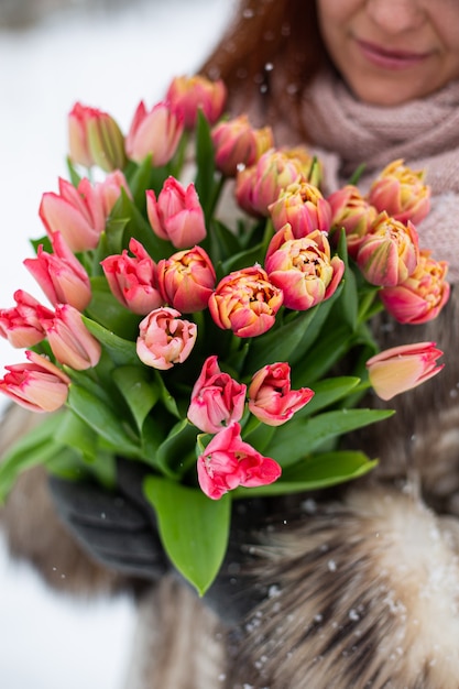 Red tulips with fresh snow