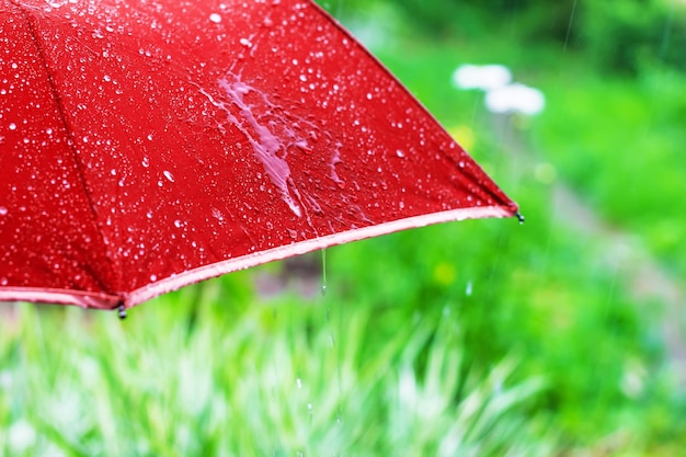 Red umbrella under the summer rain on the background of a green garden