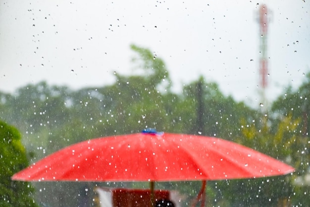 Red umbrella with storm fall rain