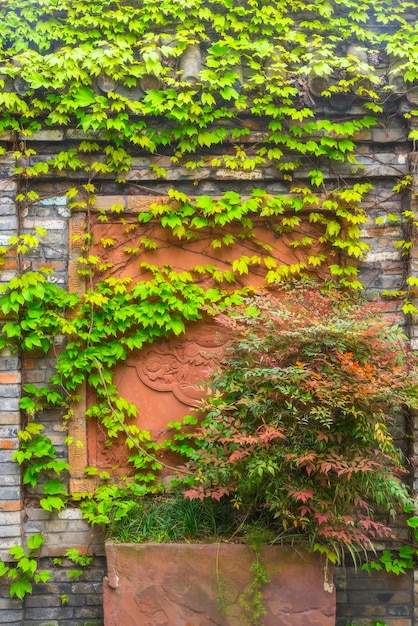 The red walls are covered with green plants