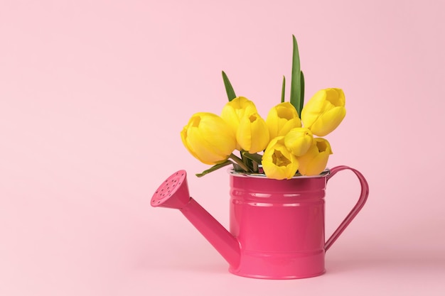 A red watering can and a bouquet of yellow tulips on a pink background