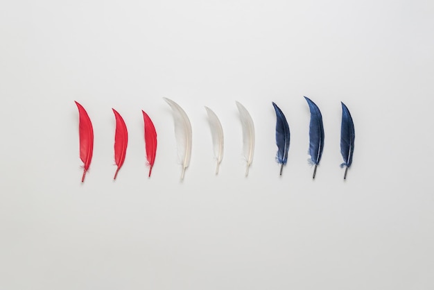 A red white and blue bird feathers flat lay creative simple concept