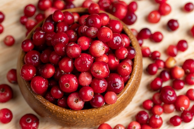 Red wild cranberries covered with drops of water