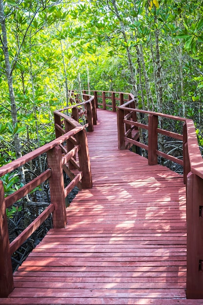 Red wooden bridge