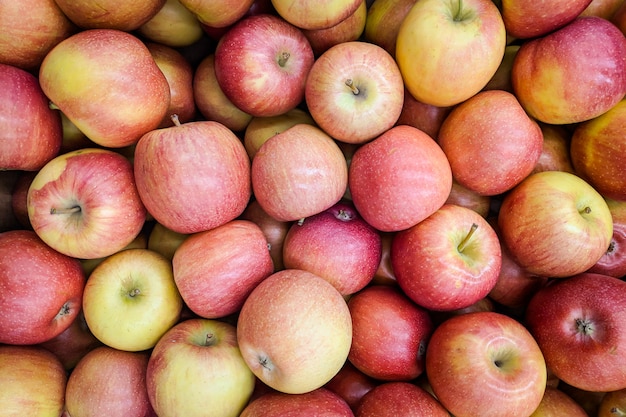 Red and yellow apples background. Fresh apples variety grown in the shop. Apple suitable for juice, strudel, apple puree, compote