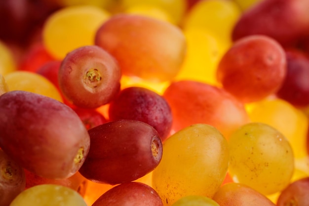 Red and yellow grapes. Food.