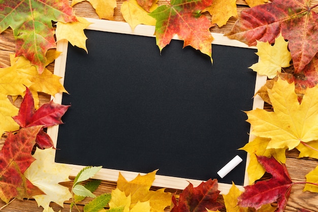 Red and yellow maple leaves around a blackboard. Back to school.