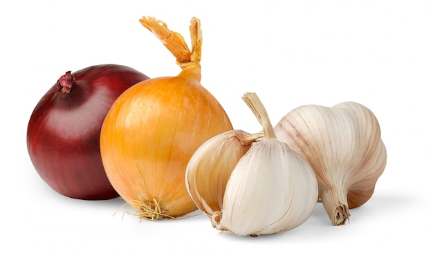 Red and yellow onions and two heads of garlic isolated