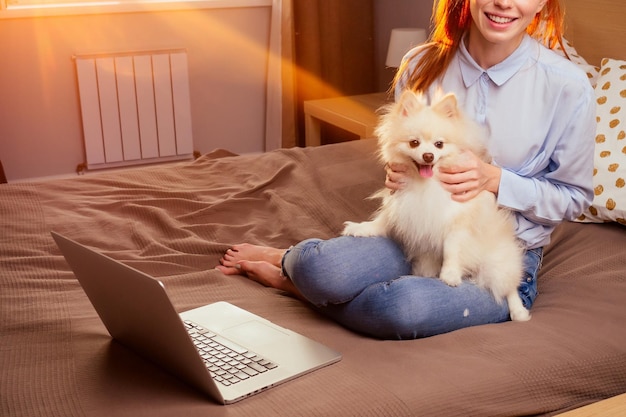 Redhaired ginger woman useing laptop fluffy spitz sitting on her knees sunset light from window background