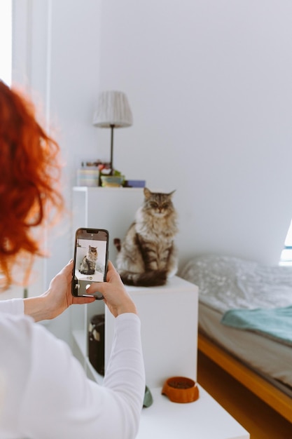 Redhaired young woman photographs cat on smartphone in home interior