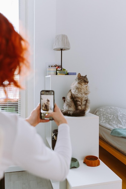 Redhaired young woman photographs cat on smartphone in home interior