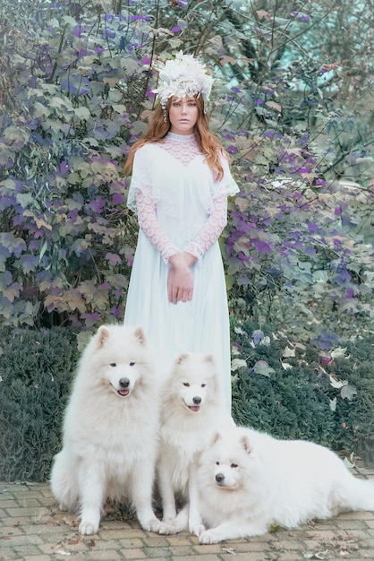 redhead (ginger) beautiful young girl (snow princess) in long white dress with three samoyeds outdoo