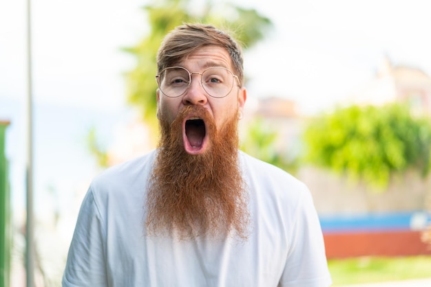 Redhead man with beard With glasses and surprised expression