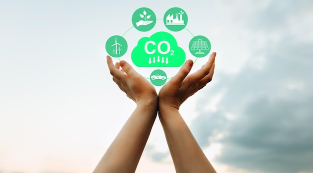 Reduce CO2 emission Sustainable development and green business based on renewable energy