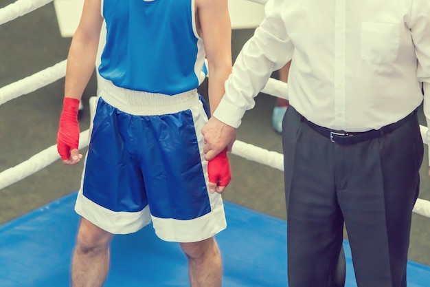 Referee holds the boxer by the hand in the ring