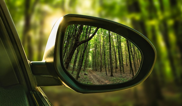 The reflection of the forest in the mirror of an expensive car