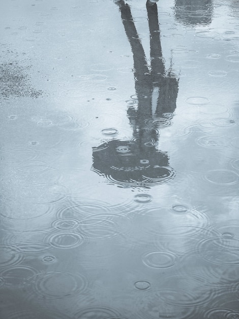 Reflection in a puddle silhouette of a woman with an umbrella. Reflection of the silhouette of a man with an umbrella in a puddle. Climate change concept.