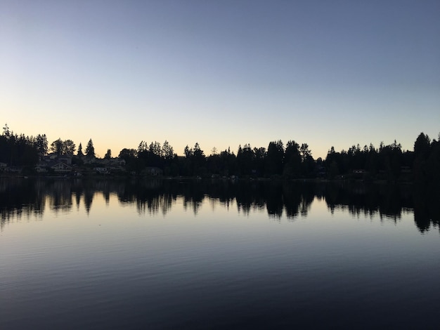 Photo reflection of silhouette trees in calm lake