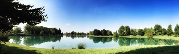 Photo reflection of trees in calm lake