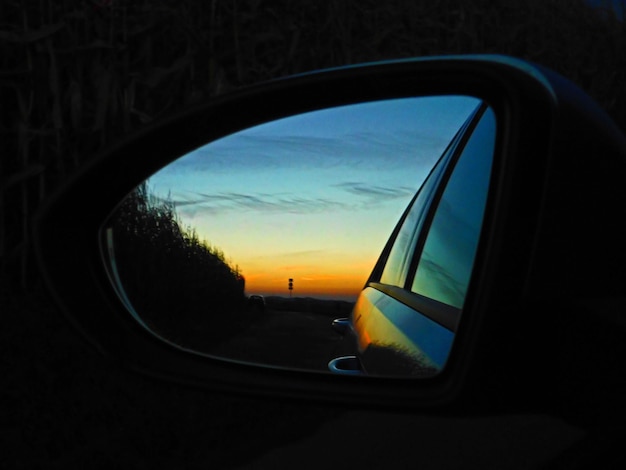 Photo reflection of trees on side-view mirror