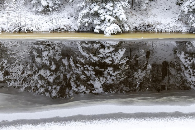 Reflection of trees in a slightly frozen river in winter