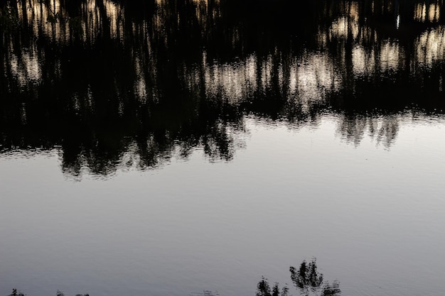 Photo reflection in the water with reflection of the sky and trees