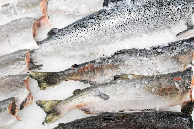 Refrigerated display case with fresh fish on ice at the seafood department in supermarket