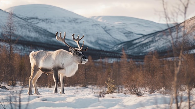 A reindeer in winter on a background of the mountains Generative Ai