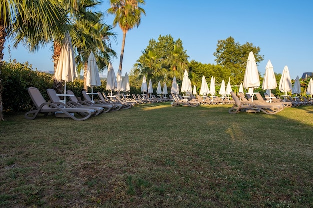 Relax on the hotel grounds or in the garden green grass