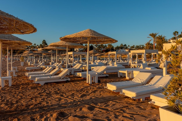 Relax under parasol on the beach of Red Sea Egypt