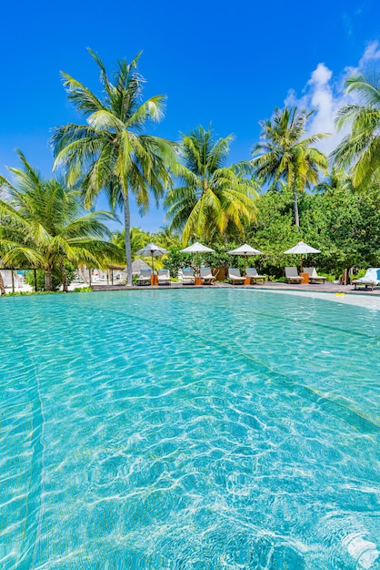 Relax swimming pool and beach chairs or loungers umbrellas with palm trees and blue sky, sea horizon