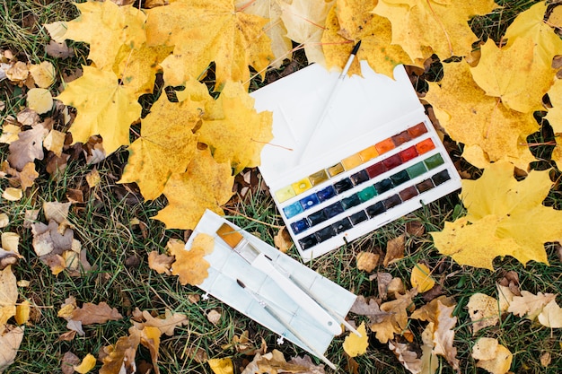 Photo relax woman painting water colour art work in autumn garden forest nature