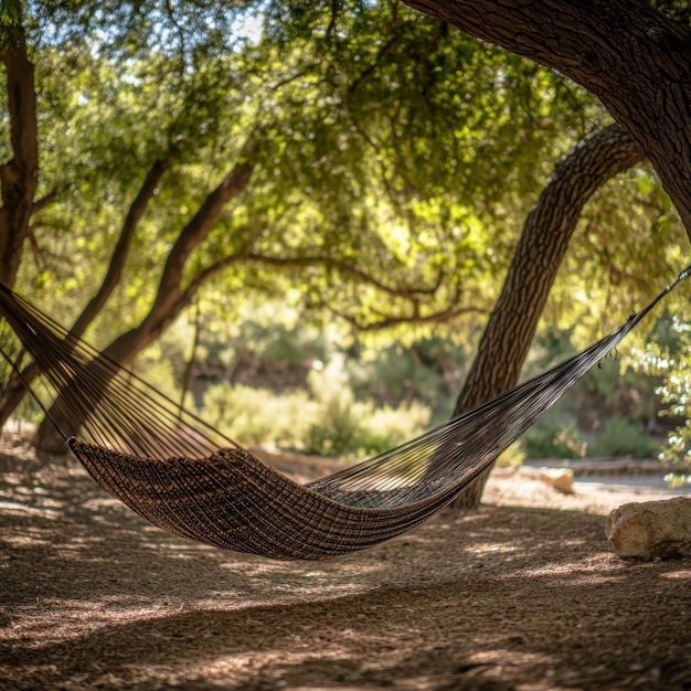 Photo relaxing in hammock under trees