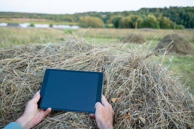 Remote work with a tablet on a haystack against the backdrop of a beautiful country landscape