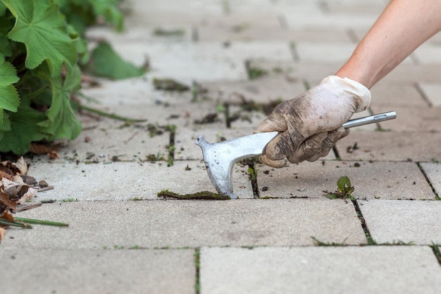 Removing Weed in Pavement Tool for Weed Removal pavement