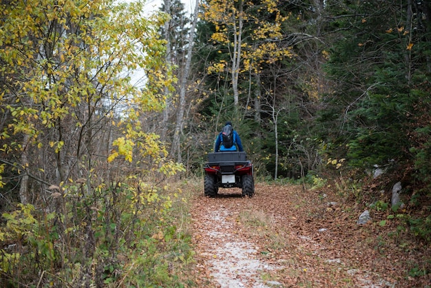 Rescuer Doing Lookout in Woods on a Quad